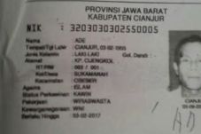 Korban Crane Jatuh di...