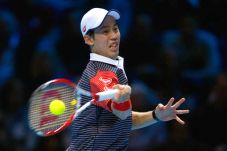 Tekuk Ferrer, Nishikori...