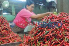 Pemerintah Klaim Harga...