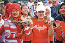 Bupati Asyik Berjoget...