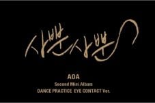 Video AOA Like a Cat...