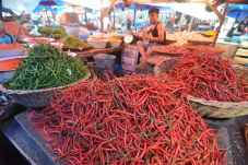 Mendag Akui Harga Cabai...