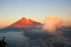 Petualangan di Taman...