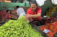 Harga Cabai Melejit,...