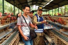 Khawatir dengan Kondisi...