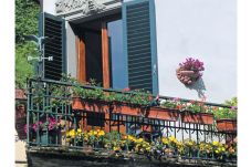 Berkebun di Balkon