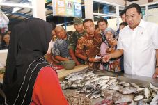 Kredit bagi Pedagang...