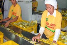 SIDO: Jamu Bisa Jadi...