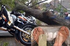 Pengendara Motor Tewas...