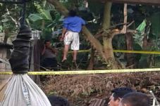 Mahasiswa STIE Bentara...