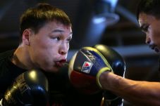 Provodnikov Hentikan...