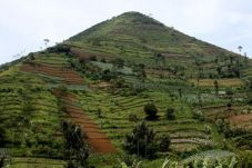 Pakar & Masyarakat...