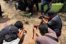 Bonbin Mangkang Segera...