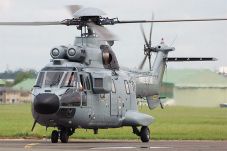 8 Korban Helly Puma...