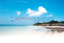 Sulawesi yang Tersembunyi