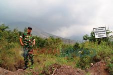 19 Ha Lahan Konservasi...