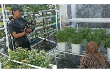 Tanaman Hemat Air 90%,...