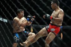 Mixed Martial Arts Indonesia...