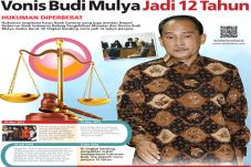Vonis Budi Mulya Jadi...