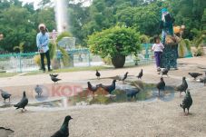 Alun-alun Merdeka Direvitalisasi