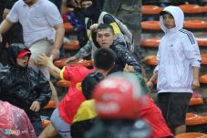 Fans Vietnam Respon...