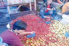 Cabai Merah Rp90.000,...