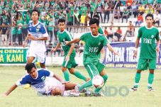 Harimau Siap Terkam...