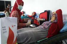 PMI Siap Bila DKI Hentikan...