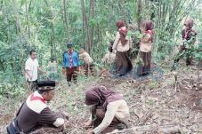 Menanam Pohon Jadi Syarat...