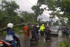 Puting Beliung Kembali...