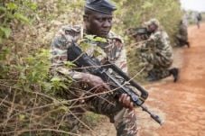 Militer Kamerun Tewaskan...