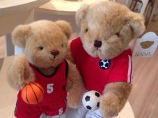 Teddy House Akan Pasang...