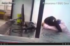 Ini Video Rekanan Apple...