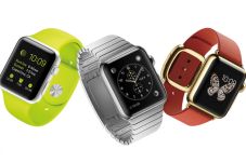 Apple Pimpin Produk...