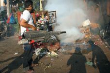 Nyamuk Mulai Mewabah