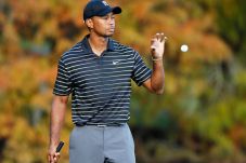 Tiger Woods Bebas Penyakit