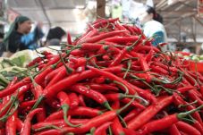 Harga Cabai Meroket,...