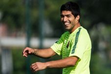 Suarez Kirim 500 Parsel...
