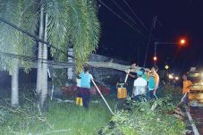 Malam Natal, Pohon Tumbang...
