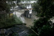 Ketinggian Air Ciliwung...