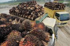 Bidik Posisi Perusahaan...