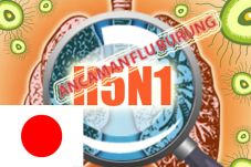 Jepang Cemas Miyazaki...
