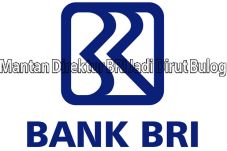 Mantan Direktur BRI...