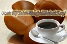 Ubah Biji Salak Menjadi...