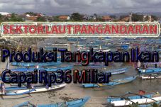 Produksi Tangkapan Ikan...