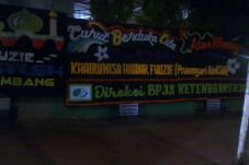 Bunga Duka 4 Meter untuk...