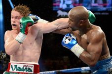 Canelo Banyak Belajar...