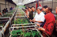 Jabar Butuh 1.600 Ha...