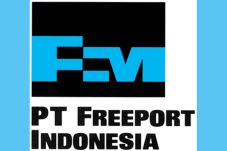 Lokasi Smelter Freeport...