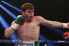 Canelo Hanya Ingin Bertarung
